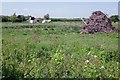 Small Pond and Habitat Pile