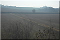 Farmland, Godmersham