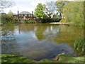 Brewery Pond, Hadley Green