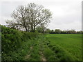 Footpath to Humberston