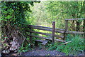 Stile near Blaen Cwmdows