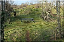 ST4716 : Picnic table, Ham Hill Country Park by Derek Harper