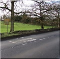 ST8893 : Grimy sign and faded SLOW road marking, Charlton Road, Tetbury Upton by Jaggery