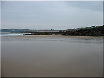 X2079 : Ardmore Bay by David Purchase