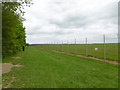 TL5423 : The boundary fence of Stansted Airport by Marathon
