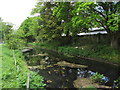 Aberdare Canal near Aberdare