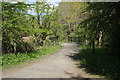 Small bridge and path, Eglinton Country Park