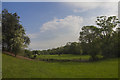 Pastureland near Overton bridge