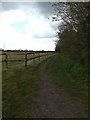 TM1449 : Bridleway to Rise Hall by Geographer