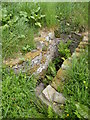 A well in Llanstephan Churchyard