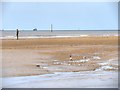 SJ3097 : Another Place, Crosby Beach by David Dixon