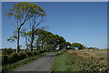 Minor road, looking north