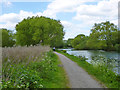 Lee Navigation