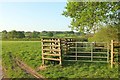 Animal pen by Sanctuary Lane