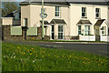 Where there were daffodils, now there are celandines & daisies