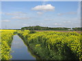 The Kelfield catchwater drain.