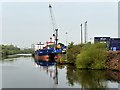 SJ7293 : Manchester Ship Canal, Irlam Container Terminal by David Dixon
