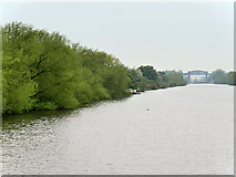 SJ6587 : Manchester Ship Canal near Thelwall by David Dixon
