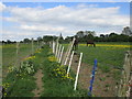 Footpath to Whatton in the Vale