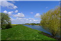 TF2152 : The River Witham, south of Chapel Hill (view upstream) by Tim Heaton