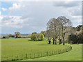 Parkland at Stourhead