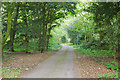 Private track through Round Wood, Bulmer 