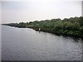 Yellow Beacon on the Manchester Ship Canal