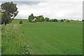 Arable land near Wyatts Lane, Little Cornard