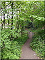 Entrance to Bourne Valley Nature reserve