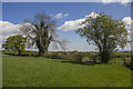 Farmland near Pen-y-Bryn