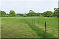 Fields near Hatchford