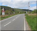 Warning sign - cattle for 1 mile ahead north of Crynant