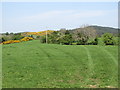 Grazing land on the north side of the New Line Road