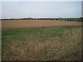 View from a Newcastle-Edinburgh train - farmland near Lucker