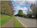 Rotary Way, Ripon