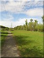 Path under Pylons