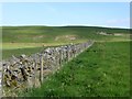 NT9709 : Wall and fence beside grassland by Russel Wills