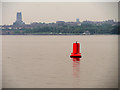 SJ3683 : Mersey Estuary, Red Channel Marker in the Eastham Channel by David Dixon