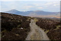 NN2851 : West Highland Way below Gualainn Liath Ghiuthais by Chris Heaton