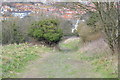 Footpath descending into Eastbourne