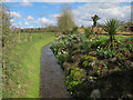 Stream and garden, Billingford