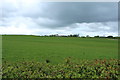 Farmland near South Biggart