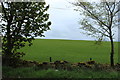 Farmland near Tower Cottage