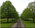 Entrance driveway, Moortown Farm