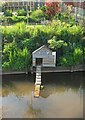 Duckhouse, Cullompton mill leat