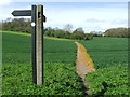 Footpath Signs And Path