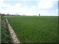 Crop field off Church Road