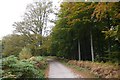 Road, Serridge Green