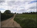 Field by Dean Lane, Cookham Dean