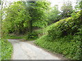 Mutton Dingle lane